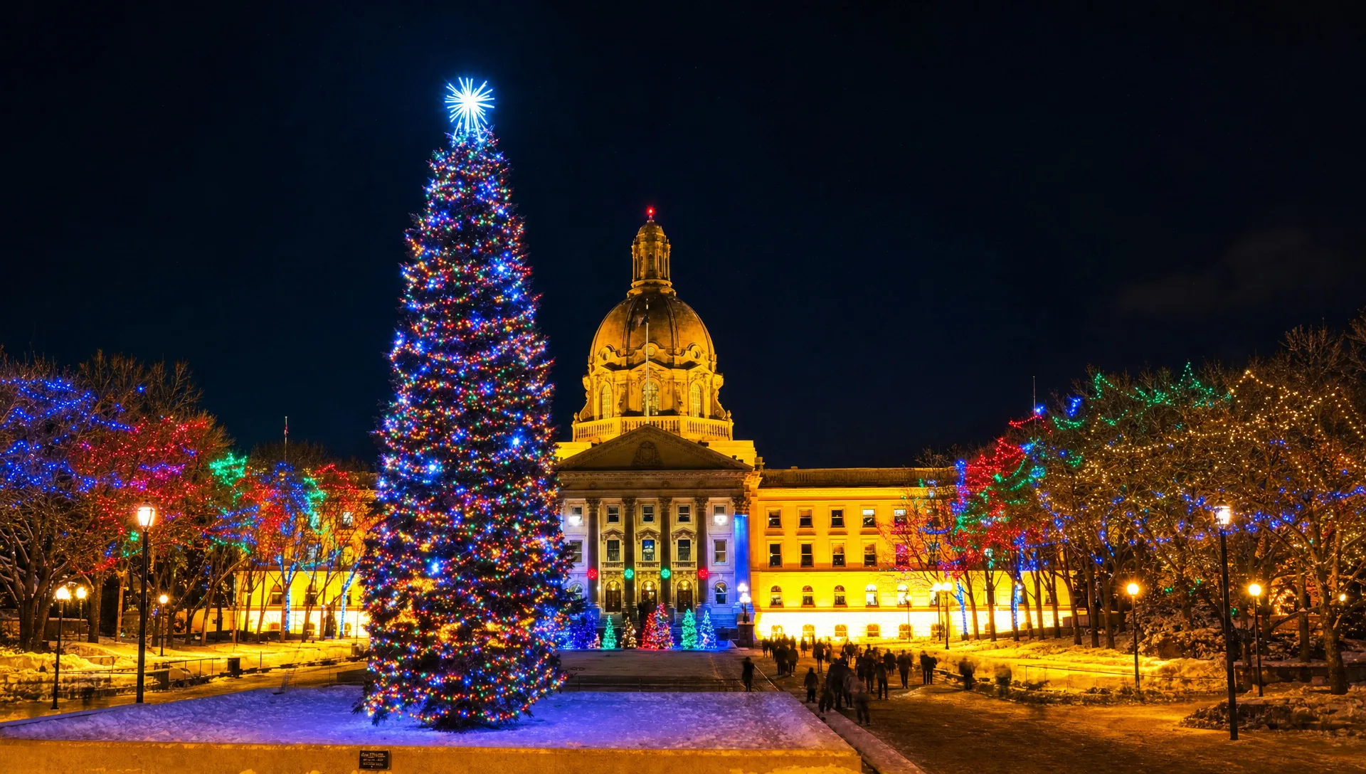 16 to 18ft Christmas Tree